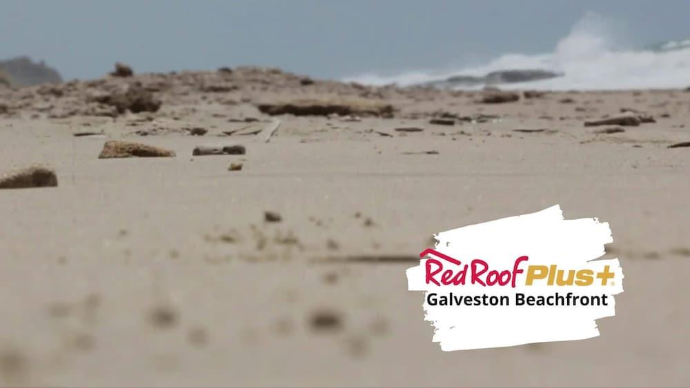 Red Roof + - Beachfront Hotel Galveston